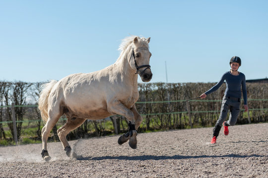 Teenage girl with horse on paddock