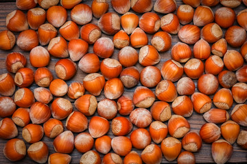 healthy hazelnuts in the shelving background