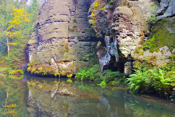 Kirnitzschtal in der Saechsischen Schweiz - Kirnitzschtal in the Elbe sandstone mountains