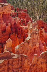 Overview on the Hoodoos in Bryce Canyon National Park