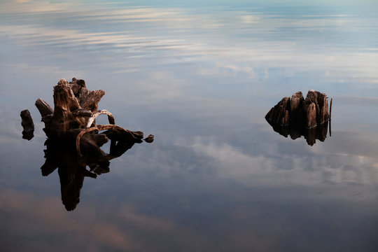 Wood in water