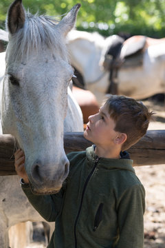 Niño con su mejor amigo, su caballo blanco. 