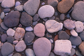 Large pebbles or stones lie on the shore at sunset. Black Sea