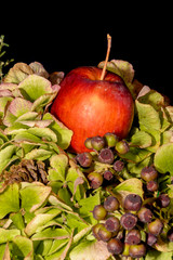 Celebratory floral arrangement at the end of the year with hydrangeas, berries; cones, fir and an apple.