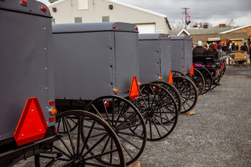 Used Amish Buggies