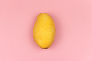 Fresh yellow mango fruit on pink background. Minimalism. Top view. Space for text