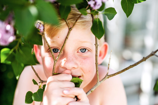 Boy looking at camera