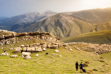 Landscape from Urkulu peak, mountains and jungle of Irati in autumn. Aezkoa and Salazar Valley in...
