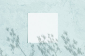Summer modern sunlight stationery mockup scene. Flat lay top view blank greeting card with herbs shadow overlay on grunge blue background.