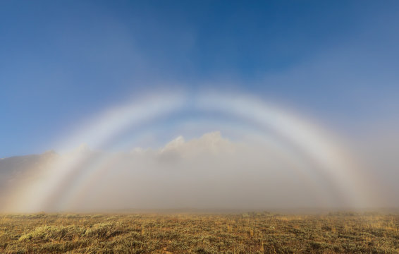 Scenic Fogbow in Autumn in the Tetons