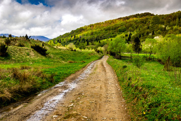a rural road in the Carpathian village