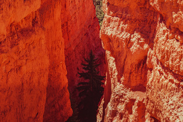 Overview on the Hoodoos in Bryce Canyon National Park