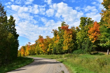 autumn colors Along a dirt road