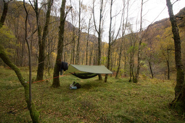 Hammock camping setup