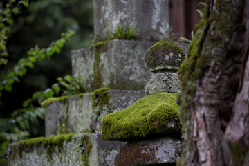 石と苔