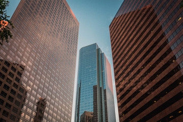 Fototapeta na wymiar skyscrapers in LA