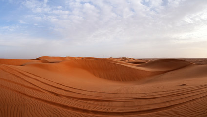 Fototapeta na wymiar Sultanate of Oman, Wahiba Sands