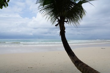 insel seychellen im indischen ozean