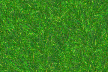 Coniferous evergreen fir trees wallpaper. Background of Christmas tree branches. Merry Christmas. Fir branches as a background