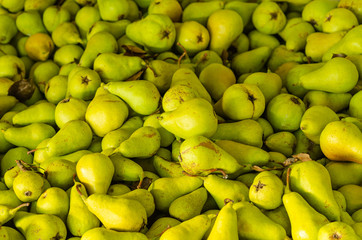  Fresh ripe organic pears ready to be eaten, as background