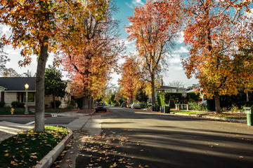 autumn on the streets of Los Angeles