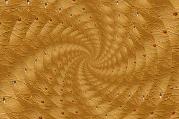 Spiral with sand and shells, digitally generated