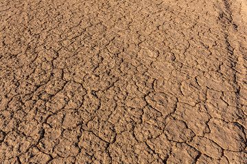 cracked earth background