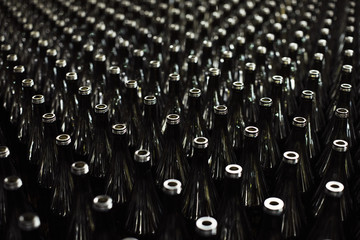 Dark Brown Empty Wine Bottles