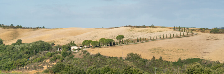 Fototapeta na wymiar Tuscany, Italy landscape. Vineyards, hills, farm house. Wide banner.