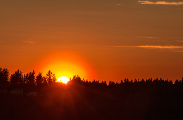 Fototapeta na wymiar Sunset in Pacific Northwest as orange sun lowers behind evergreen trees