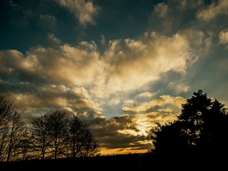 Obraz premium Evening In The Park