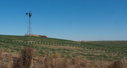Metal windmill in farm country