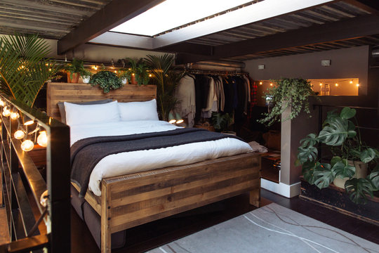 Loft bedroom with skylight and lots of plants