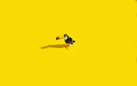 Playing Blocks Bird / Toucan