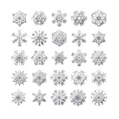 snowflake winter set of silver isolated icon silhouette on white background vector illustration