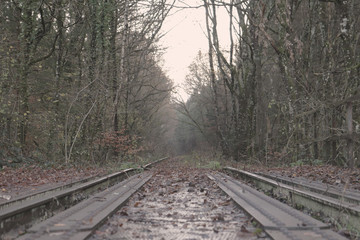 lost railway in the forest