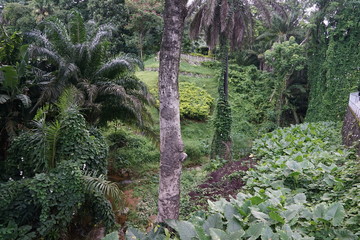 Museum in Victoria auf Seychellen im sommer