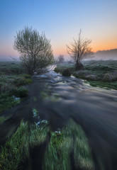 picturesque spring dawn. morning river
