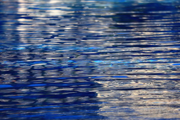 The background is blue clear water in the pool with waves and glare of light