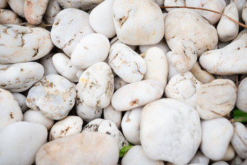 Background of white sea dry stones smoothed by waves and water. Spots of dark cracks on individual stones.