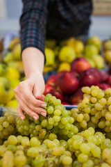 Caucasian girl buying fresh vegetables food products at the market.