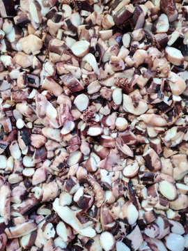 Chopped octupus background