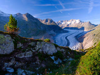 Aletsch glacier