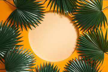 Green Leaves Arranged With Orange Background