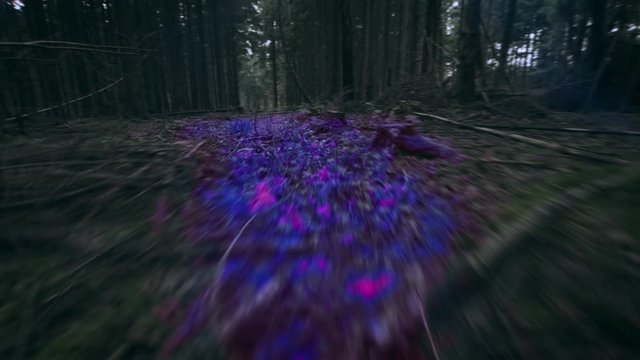 Extraterrestrial Predator Species POV Hunting Running Through Forest Finding Its Prey Following An Alien Night Vision Trail.