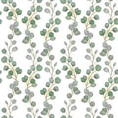 Naklejki  Akwarela bezszwowe wzór gałęzi eukaliptusa. Ręcznie rysowane ilustracja botaniczna.