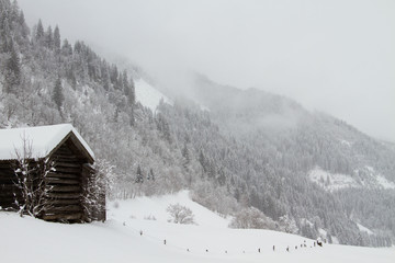 house in the mountains