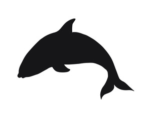 Vector black killer whale dolphin silhouette isolated on white background