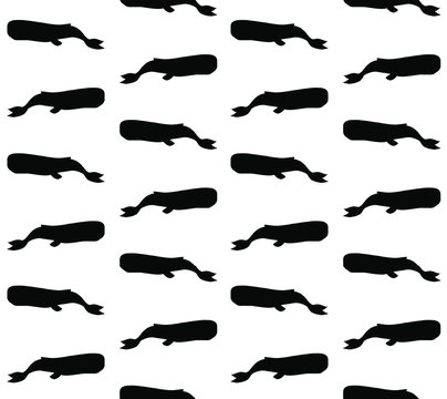 Vector seamless pattern of black sperm whale cachalot silhouette isolated on white background