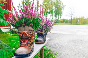 Pots boot with flowers. Flowers in the shoe. Handmade. Street pots. Decoration for the garden.